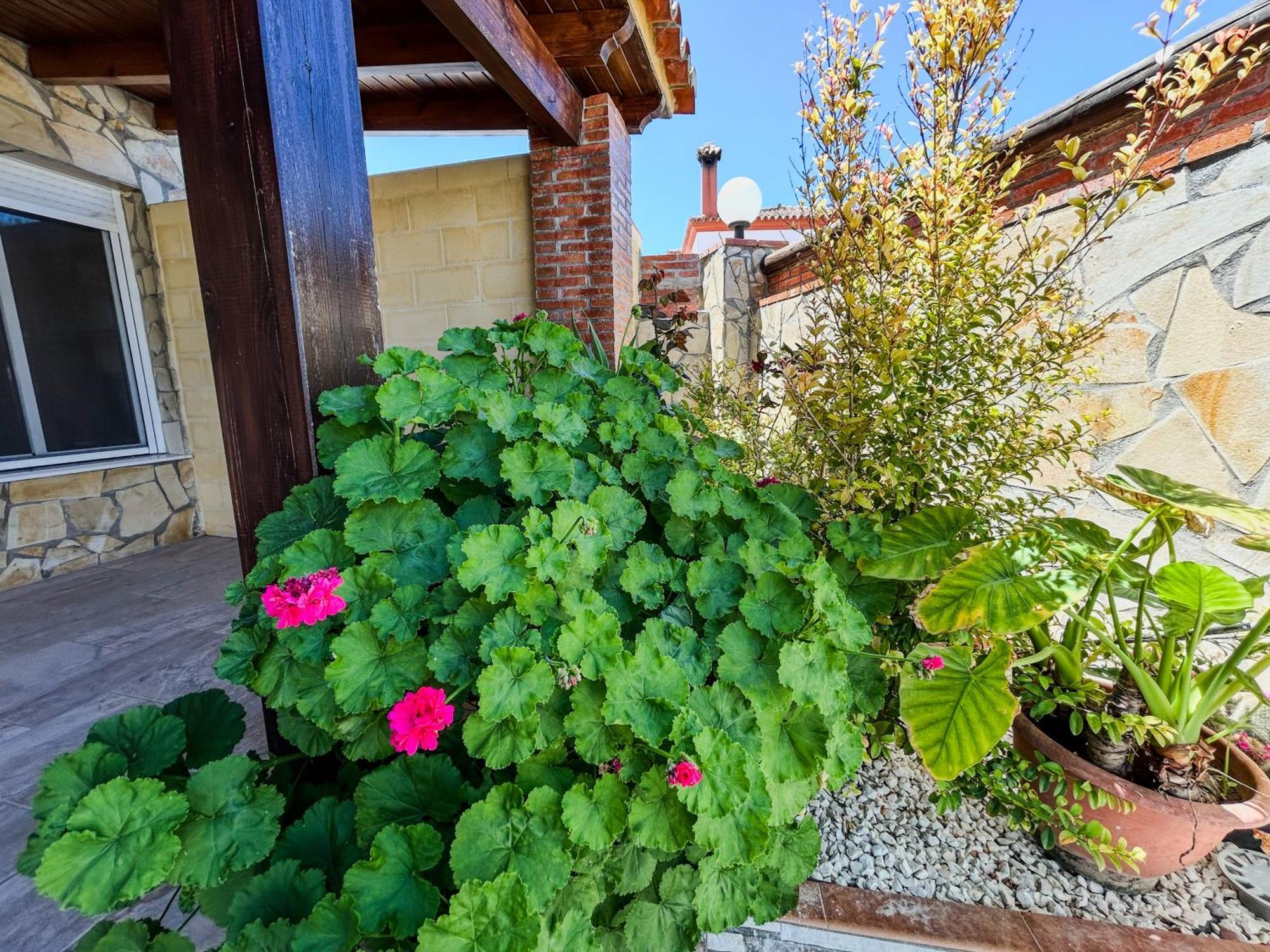 Villa Rosal- Solo Familias Y Parejas Conil De La Frontera Exterior photo